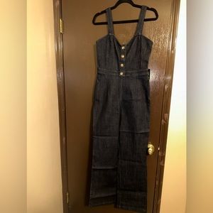 NWT Express Denim Jumpsuit